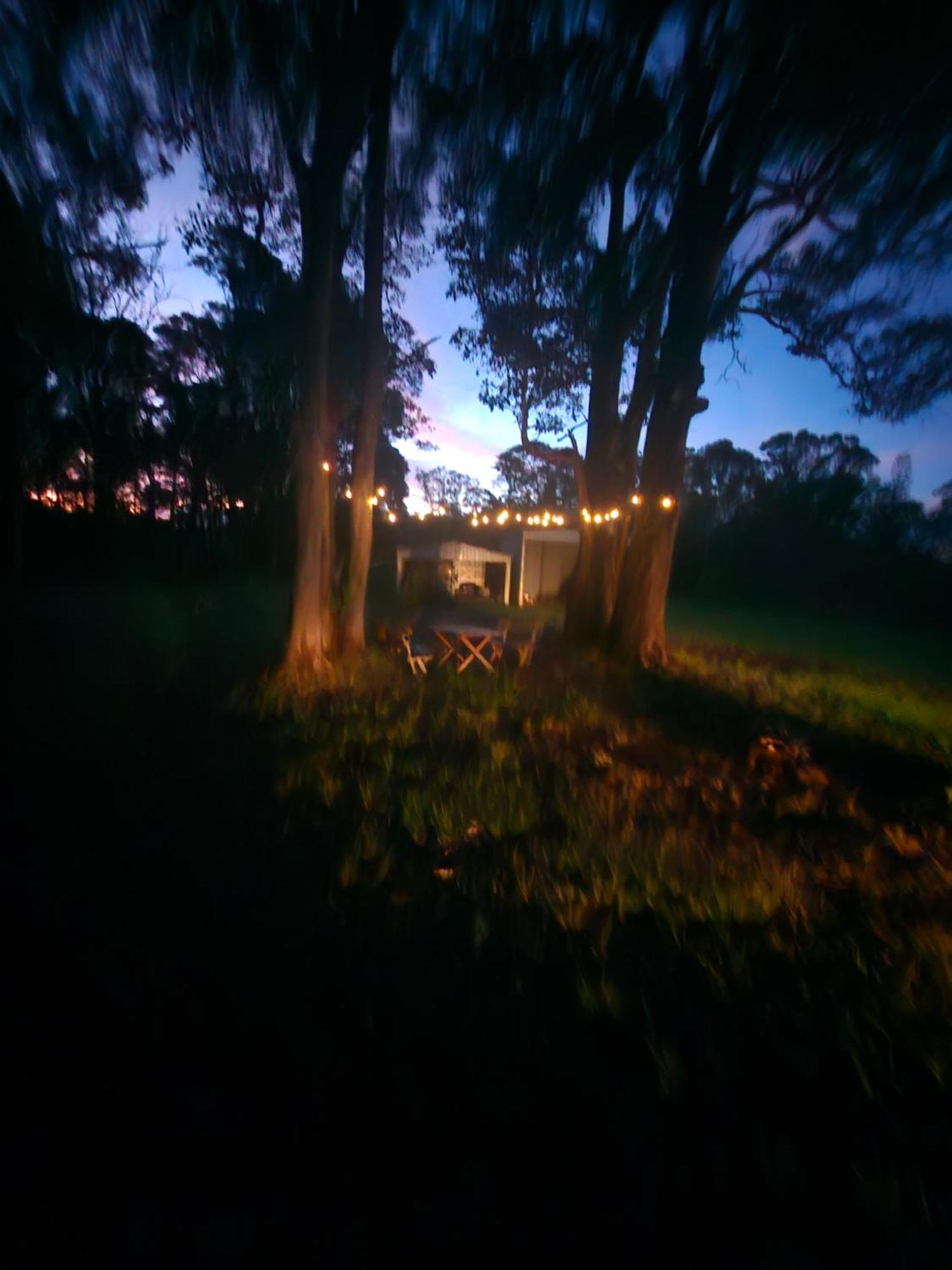 Country Cottage Sunshine Coast Montville Eksteriør bilde